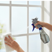 Plastic Easy Glass Cleaner 3 in 1 Spray Type Cleaning Brush, Pack of 1 by Your Brand