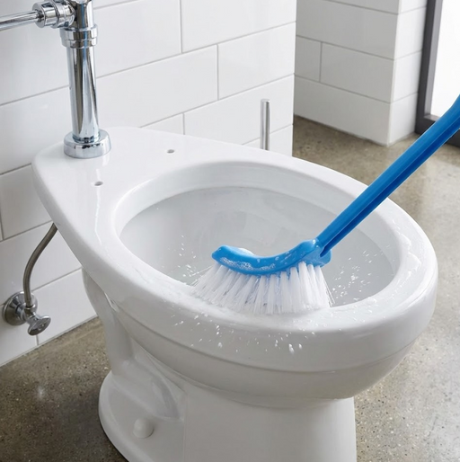 Single Sided Bristle Plastic Toilet Cleaning Brush by Your Brand