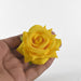 DaisyDrape