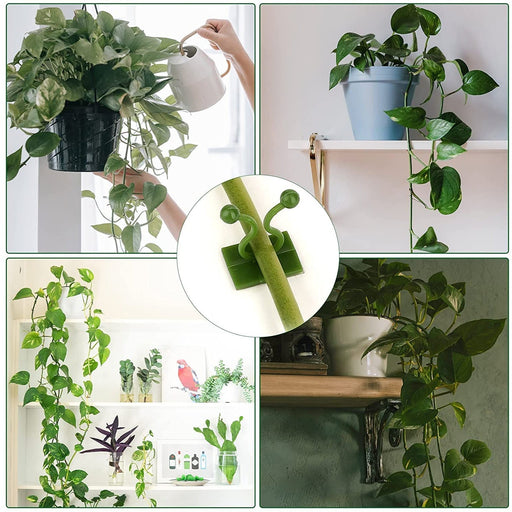 Money Plant Support Clips Vine Plant (10 Pcs Set) by Your Brand
