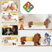 Lion Shape Magic Spring Toy (1 Pc) by Your Brand