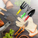 Colorfull Garden Tool Set Set of 3Pc by Your Brand