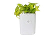 Plastic Vertical Hanging Planter Pot, Multicolour, by Your Brand