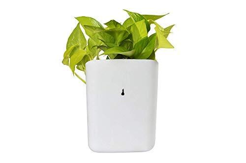Plastic Vertical Hanging Planter Pot, Multicolour, by Your Brand