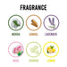 Floral air freshener block for bathrooms and toilets