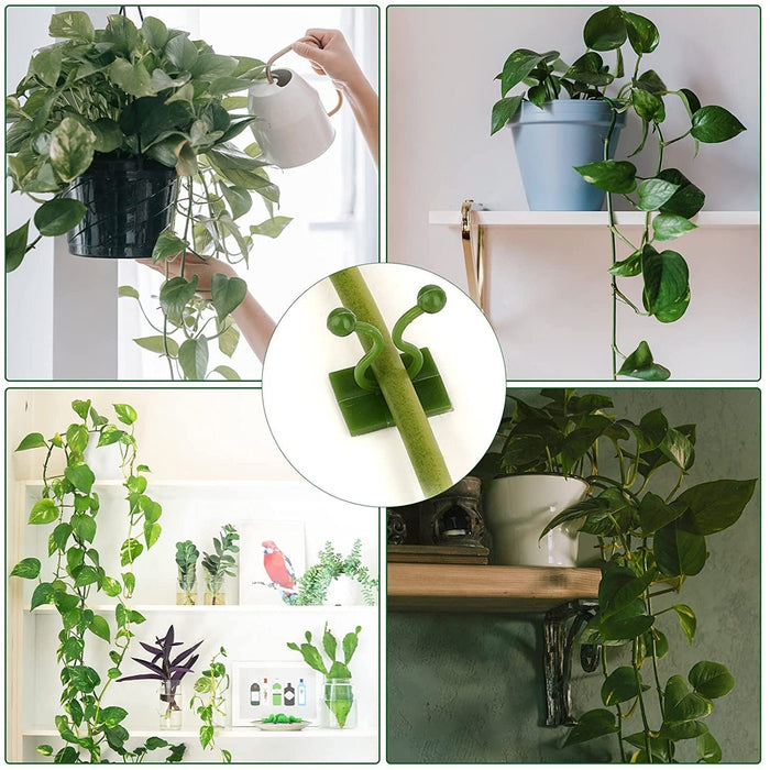 30pcs wall Plant Climbing Clip widely (Box/30 Pcs Set) by Your Brand