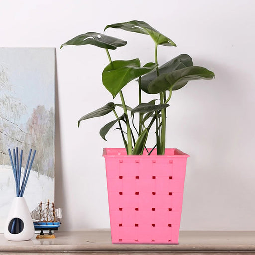Square Single Plant Railing Dotted Planters by Your Brand