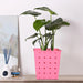 Square Single Plant Railing Dotted Planters by Your Brand