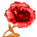 24k Gold Rose,hicoosee Gold Foil Plated Rose with LOVE Stand and Gift Box by Your Brand