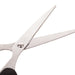 Stainless Steel Scissors with Plastic handle grip 160mm (1Pc Only) by Your Brand