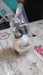 Rotatable Splash Proof 3 Modes Water Saving Nozzle Filter Faucet Sprayer by Your Brand