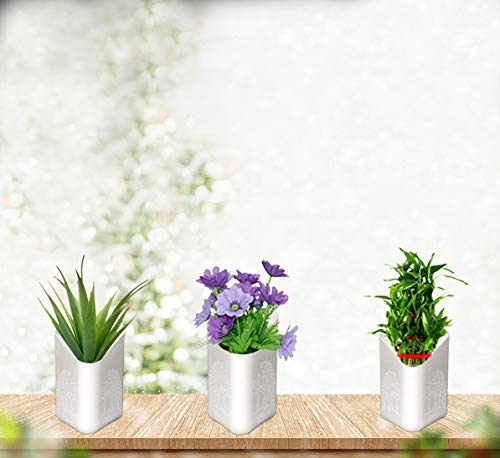 Plastic Vertical Hanging Planter Pot, Multicolour, by Your Brand
