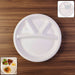 Food Tray
