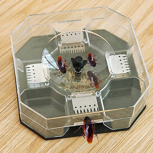 Cockroach Traps Box Cockroach Bug Roach Catcher Cockroach Killer by Your Brand