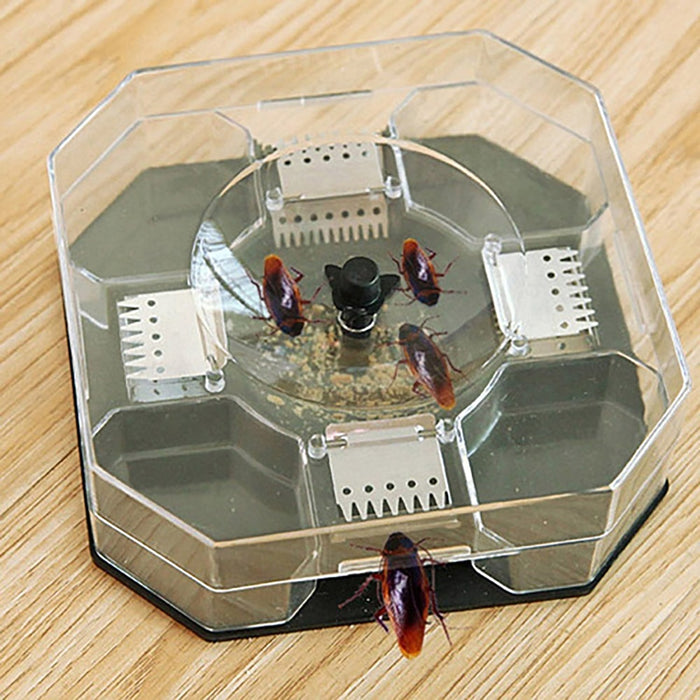 Cockroach Traps Box Cockroach Bug Roach Catcher Cockroach Killer by Your Brand