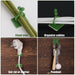 30pcs wall Plant Climbing Clip widely (Box/30 Pcs Set) by Your Brand