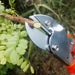 PROFESSIONAL GARDEN SCISSOR WITH SHARP BLADE COMFORTABLE HANDLE (18CM) by Your Brand