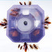Cockroach Traps Box Cockroach Bug Roach Catcher Cockroach Killer by Your Brand