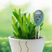 Soil Tester 3-in-1 Plant Moisture Sensor (Green) by Your Brand