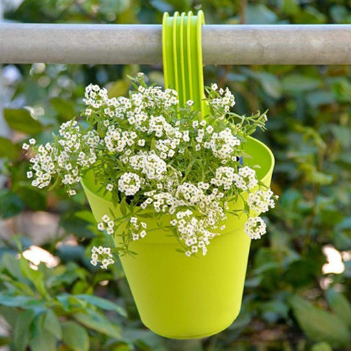 Plastic Hanging Planter Pot, Multicolour, by Your Brand