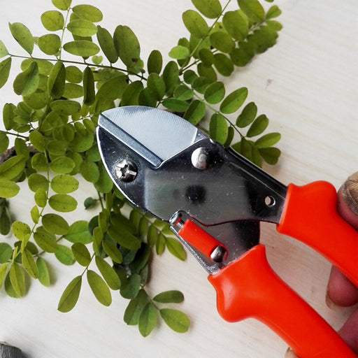 PROFESSIONAL GARDEN SCISSOR WITH SHARP BLADE COMFORTABLE HANDLE (18CM) by Your Brand