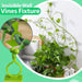 30pcs wall Plant Climbing Clip widely (Box/30 Pcs Set) by Your Brand
