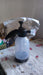2L pressure sprayer for indoor plants, garden and car wash – buy online India .in