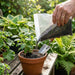 Organic Coco Peat Powder for Gardening Soil (1 Pc, 1 Kg Approx) by Your Brand