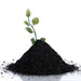Organic Coco Peat Powder for Gardening Soil (1 Pc, 1 Kg Approx) by Your Brand