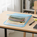 13 Pocket Document File Folder with Handle by Your Brand