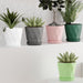 Diamond Design Plastic Flower Pot Set with Drain Tray (5 Pc) by Your Brand