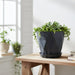 Diamond Design Plastic Flower Pot Set with Drain Tray (5 Pc) by Your Brand