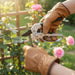 Gardening Shears, Enhanced Garden Shears Pruning Machine (200 MM / 1 Pc) by Your Brand
