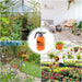 Water Sprayer Hand-held Pump Pressure Garden Sprayer - 2 L (Mix Color) by Your Brand