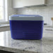 portable picnic ice box
