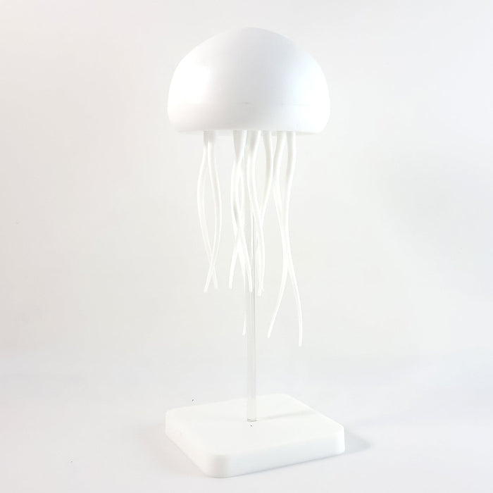 Colorful LED lamp decor        
