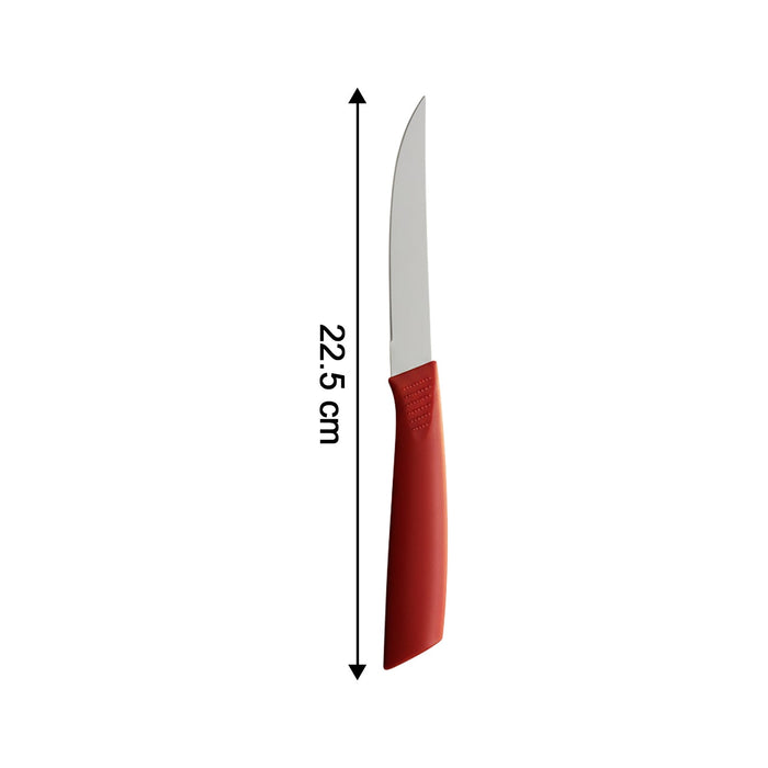 Multipurpose Stainless Steel Fruit Knife Set of 3