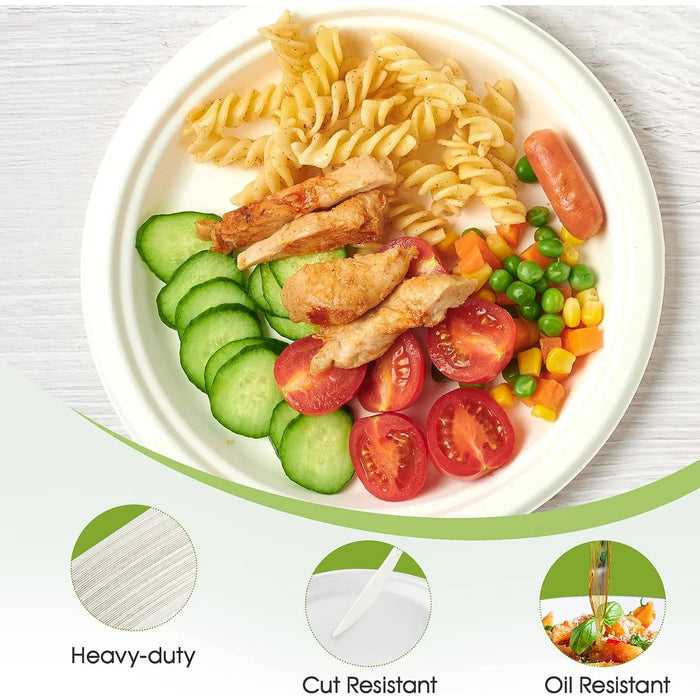 Meal Tray