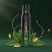  men's charge fragrance deodorant spray Signature brand