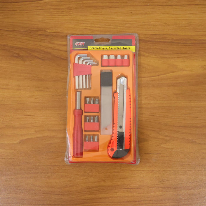 Professional Screwdriver Tool Set (1 Set) by Your Brand