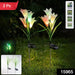 Solar Garden Flower Lights - (2Pc Set) by Your Brand