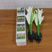 Solar Garden Flower Lights - (2Pc Set) by Your Brand