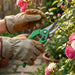 Garden Shears Pruners Scissor for Cutting Branches, Flowers, Leaves, Pruning Seeds by Your Brand