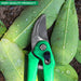 Garden Shears Pruners Scissor for Cutting Branches, Flowers, Leaves, Pruning Seeds by Your Brand