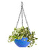 Flower Pot Plant with Hanging Chain for Houseplants Garden Balcony Decoration by Your Brand