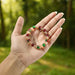 Multicolor Glossy Bead Stretch Bracelet (1 Pc) by Your Brand