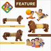 Lion Shape Magic Spring Toy (1 Pc) by Your Brand