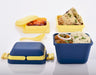 Airtight lunch box with handle and secure push lock