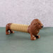 Lion Shape Magic Spring Toy (1 Pc) by Your Brand