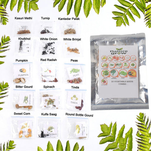 15 Varieties of Vegetable Seeds Combo (1 Pkt. / 15 Varieties) by Your Brand